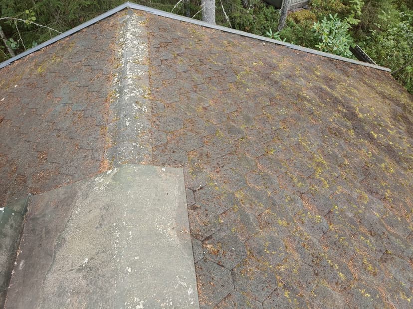 Mökin huolto - Image 11