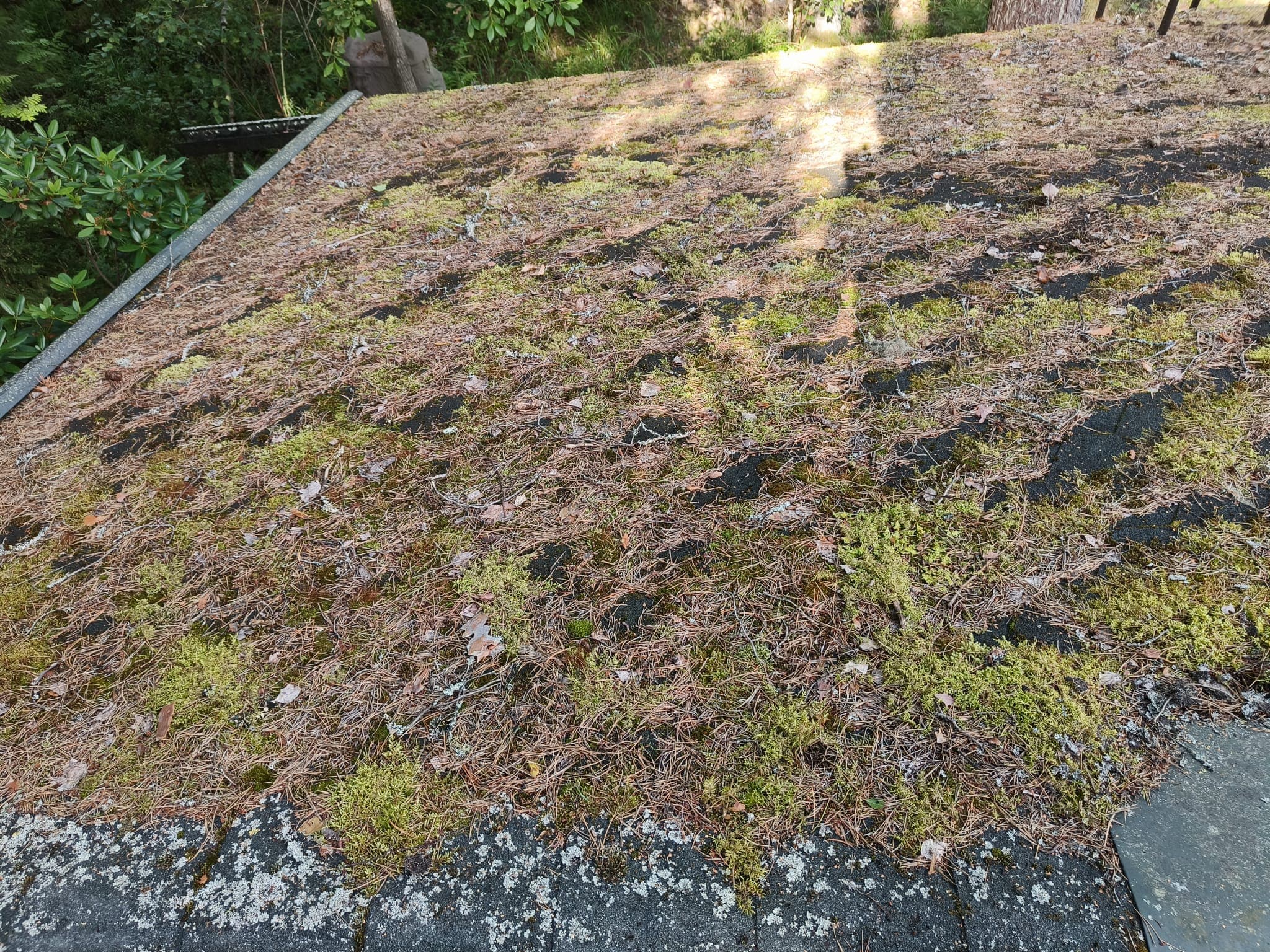 Mökin huolto - Kuva 13