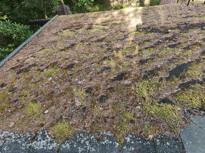 Mökin huolto - Image 7