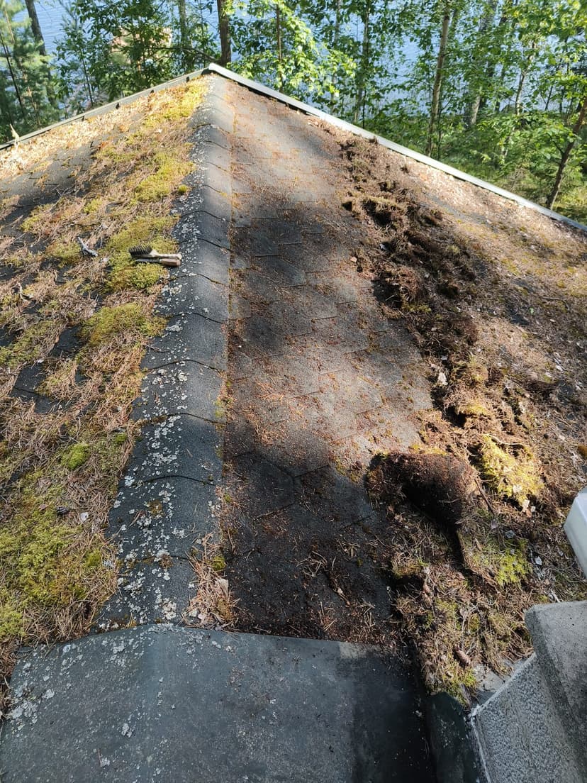 Mökin huolto - Image 8