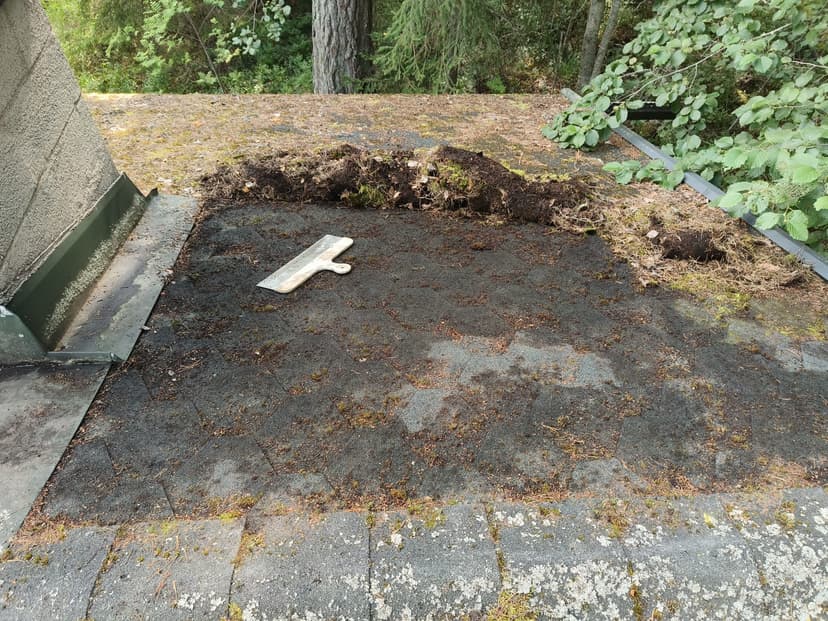 Mökin huolto - Image 9