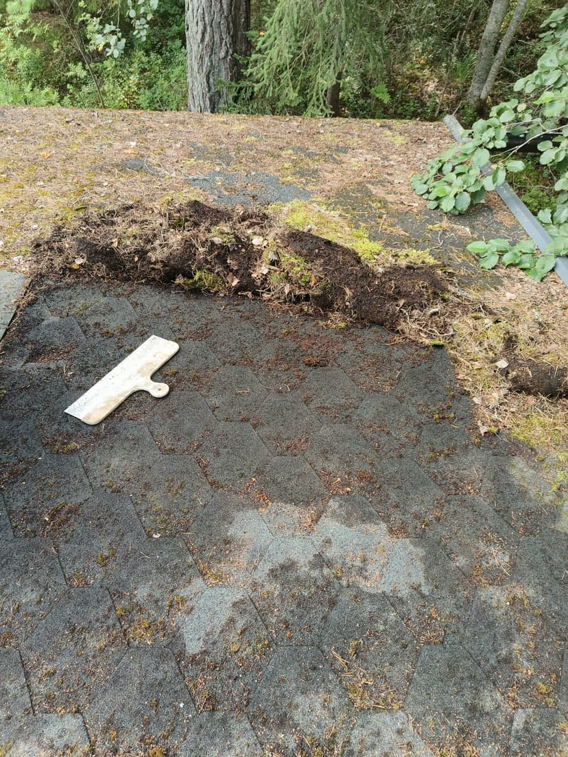 Mökin huolto - Image 10